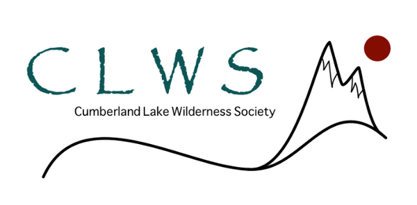 Image result for cumberland lake camping logo